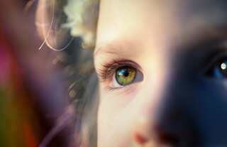 6 Must-Have Foods For Healthy Eyes
