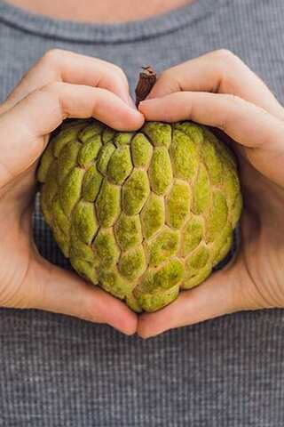 6 Health Benefits of Cherimoya Fruit