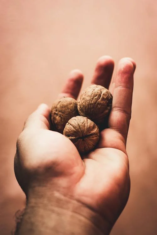 6 Uses of Walnut Oil
