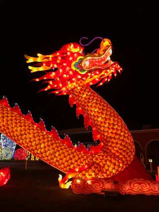 2024 Is The Year of Dragon: Here’s How To Harness its Traits For Good Fortune