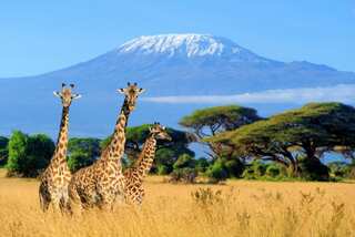 Five Places to Visit in Kenya