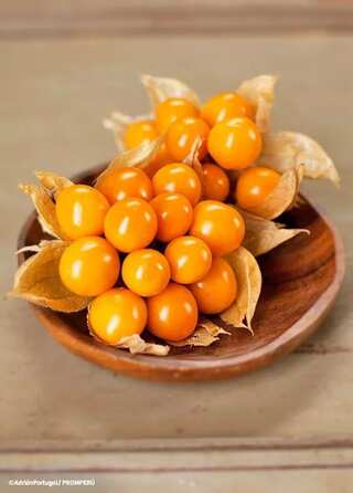 Health Benefits of Physalis
