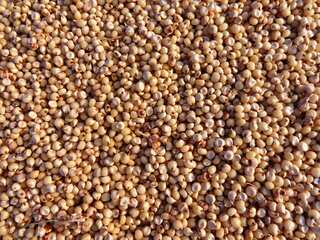 7 Health Benefits Of Sorghum
