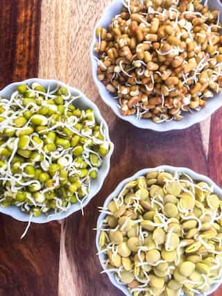 5 Ways to Make Sprouts at Home
