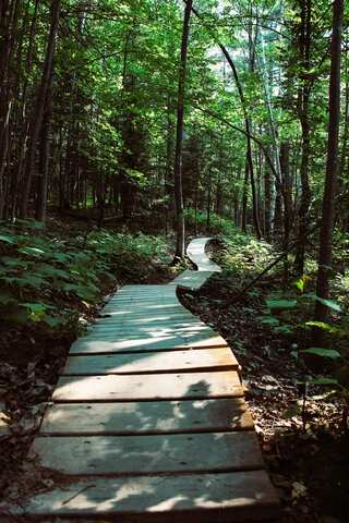 6 Ways to Give Back to Mother Nature