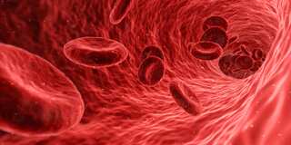 7 Natural Blood Thinners Which Help Prevent Stroke