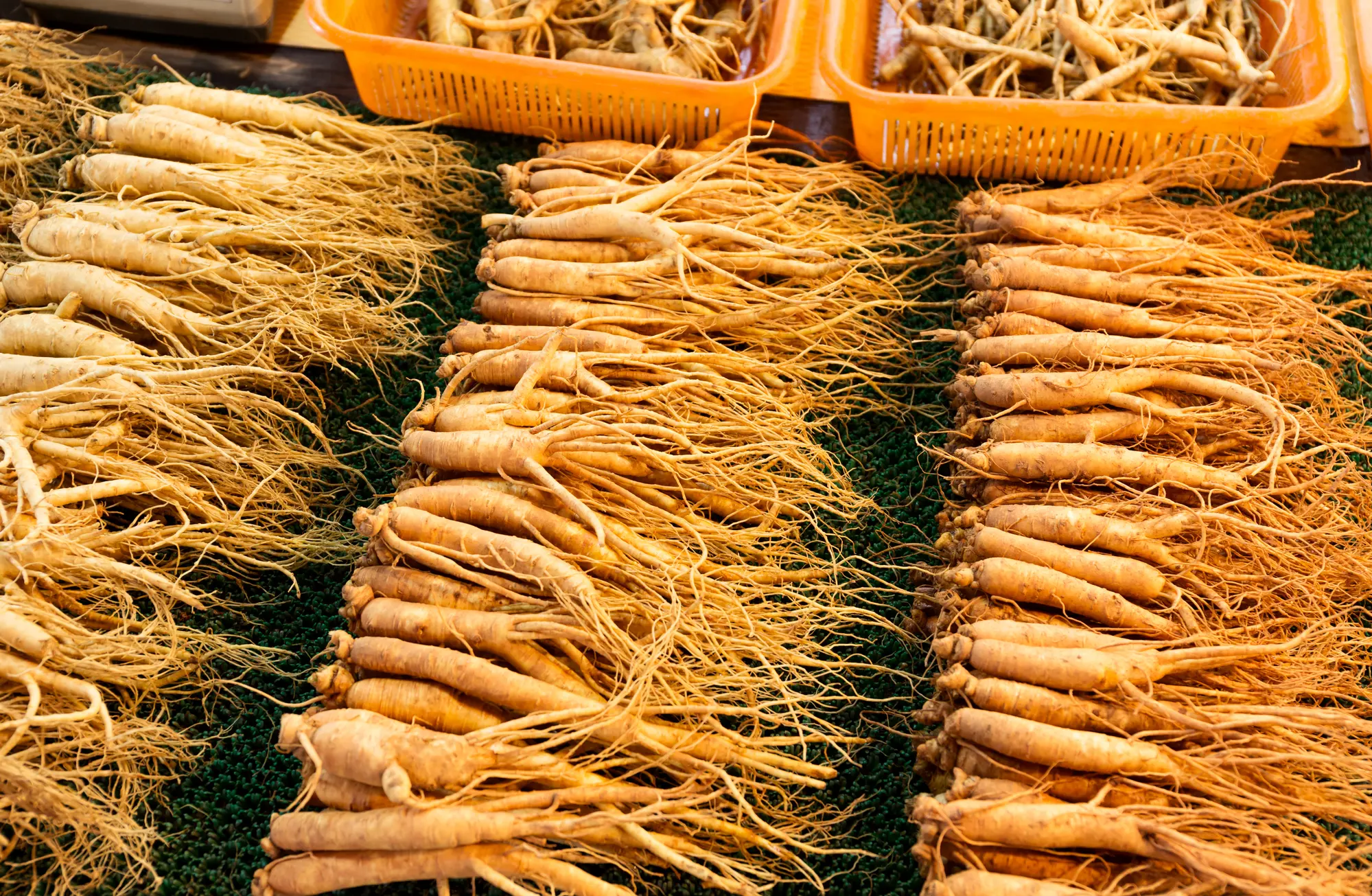 7 Health Benefits of Ginseng
