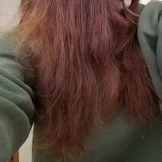 5 Tips to Repair Damaged Hair