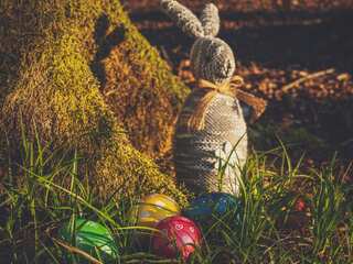 Hopping Through History: How the Bunny Became an Easter Symbol