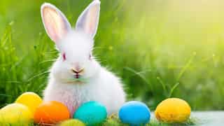 Easter 2024: Recipes for a memorable feast