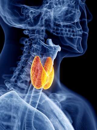 5 Foods To Avoid in Thyroid Disorders