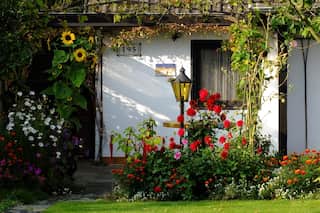 7 Indoor Plants That Can Survive Indian Summers Easily