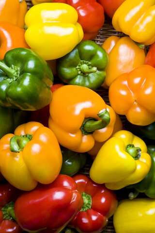 5 Refreshing Vegetables Perfect for Summer
