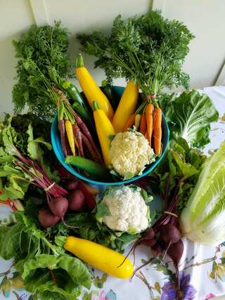 7 Vegetables to Eat in Summers, as per Ayurveda