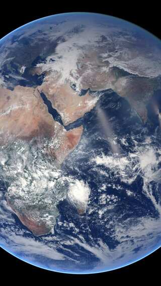 What Happens if Humans on Earth Disappear Tomorrow?
