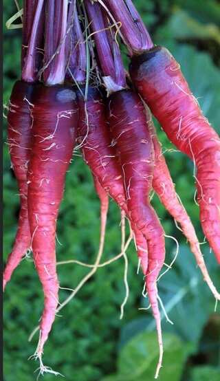  Boost Your Skin's Glow with These 6 Purple Foods
