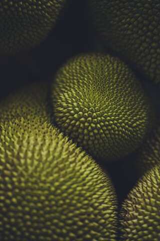 6 Reasons to Include Jackfruit in Your Diet 