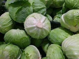 Should You Quit Eating Cabbage Because Of The Fear Of Worms?