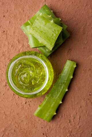 5 Easy Ways to Incorporate Bottle Gourd in Your Diet This Summer