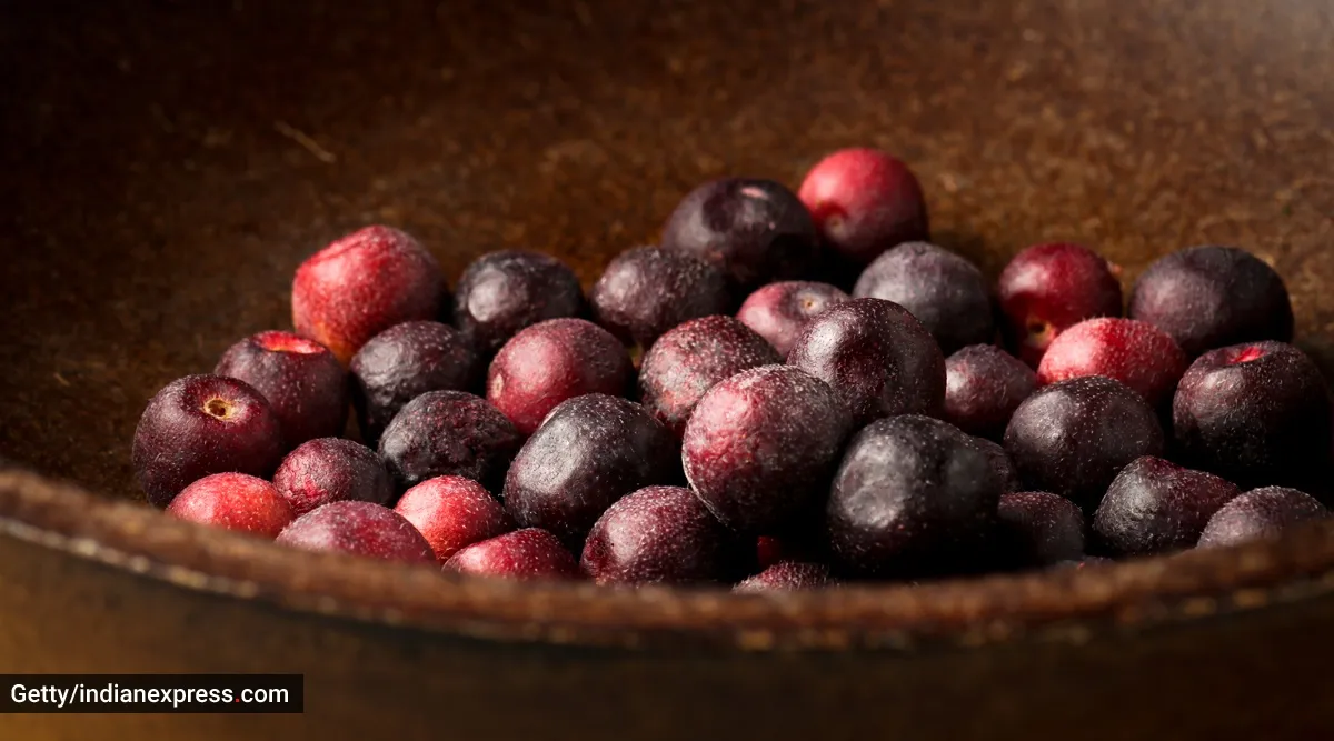 Health Benefits of Grewia Asiatica (Falsa)
