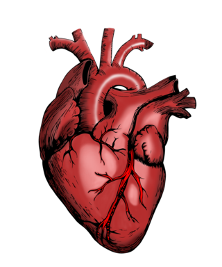 7 Magnesium-Rich Food Items Which Can Work Wonders For Your Heart 