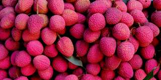 5 Reasons to Add Lychee to Your Summer Diet 