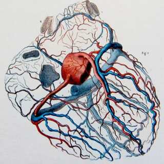 5 Vitamins That Keep Arteries Clean and Unclogged