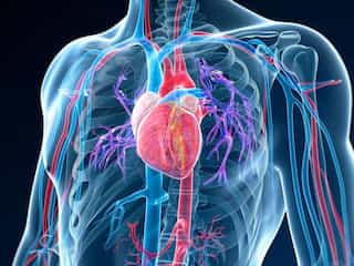 5 Signs of Clogged Arteries You May Be Ignoring