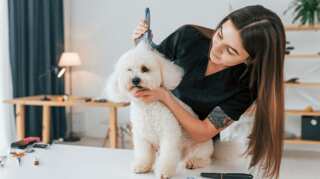  5 Hobbies That Can Thrive As Home-Based Businesses