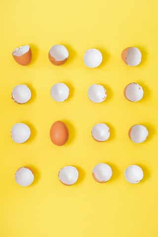 5 Creative Ways To Use Leftover Eggshells