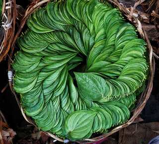  5 Reasons You Should Chew Betel Leaf (Paan) After Meal