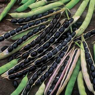 Pahadi Food: 5 Health Benefits of Bhat Dal (Black Soya Beans)