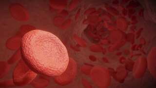 6 Food Items Which Clean Arteries And Ensure Healthy Heart 