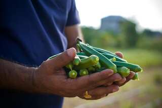 15-Minute Easy Spicy Okra Recipe