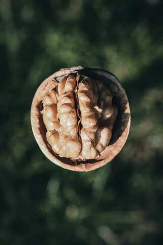 5 Nutrient-Rich Snacks for Better Brain Function