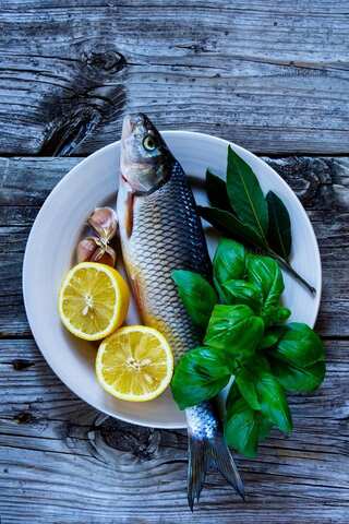5 Animals That Are Consumed Alive by Humans