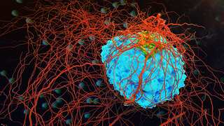 6 Nations With Highest Cancer Rate
