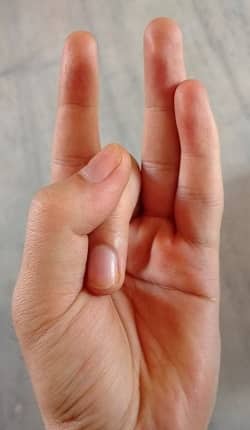 5 Hand Mudras for Success