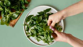 6 Natural Herbs That Help Boost Immunity During Monsoon Season