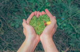 World Environment Day 2024: 7 Quotes to Wish Others on This Special Occasion
