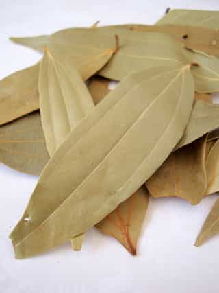 6 Reasons To Include Bay Leaves In Your Diet