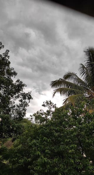 Monsoon Health Guide: Top 5 Tips
