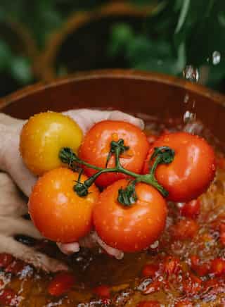 7 Delicious Tomato Side Dishes Recipes
