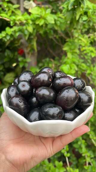 6 Reasons to Consume Jamun in Monsoon