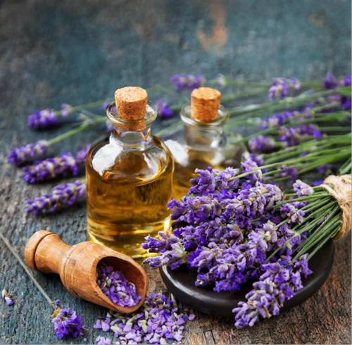 How To Make Lavender Oil At Home In 5 Simple Steps