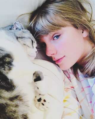 Wild Facts About Taylor Swift's Cats
