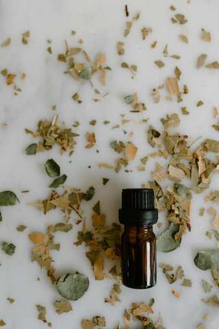 How To Make Eucalyptus Oil At Home: 5 Steps Only