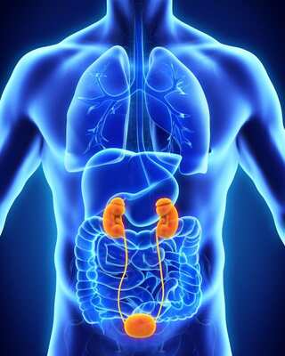 Boost Kidney Health with These 5 Easy Lifestyle Changes
