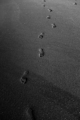 5 Practical Ways to Reduce Your Carbon Footprint

