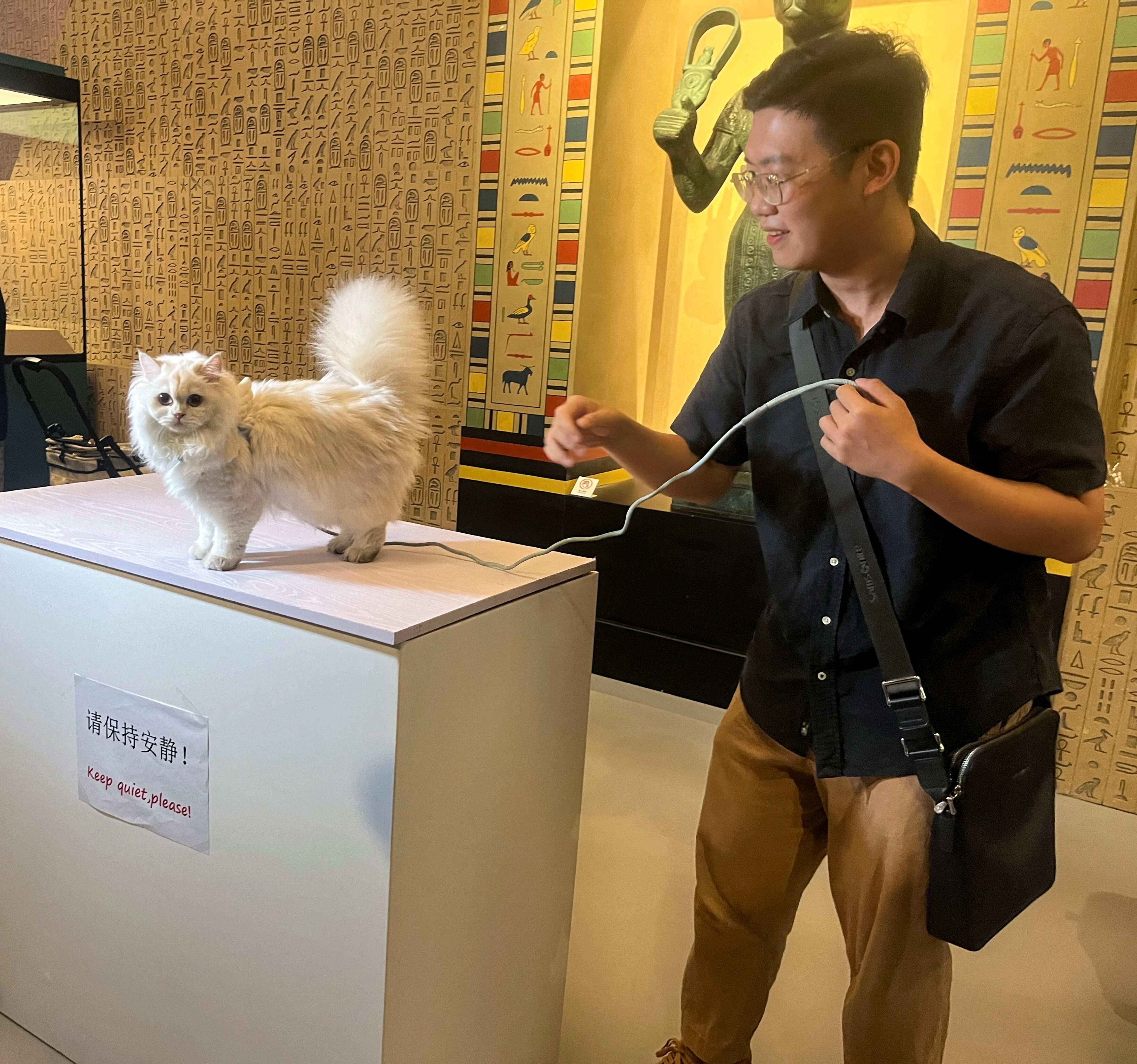 Wion News